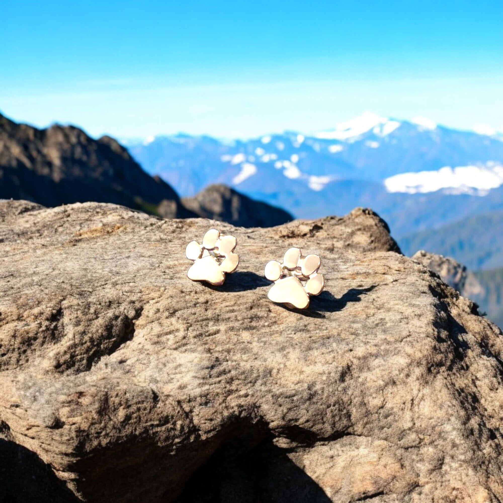 Allergivenlige pote-øreringe