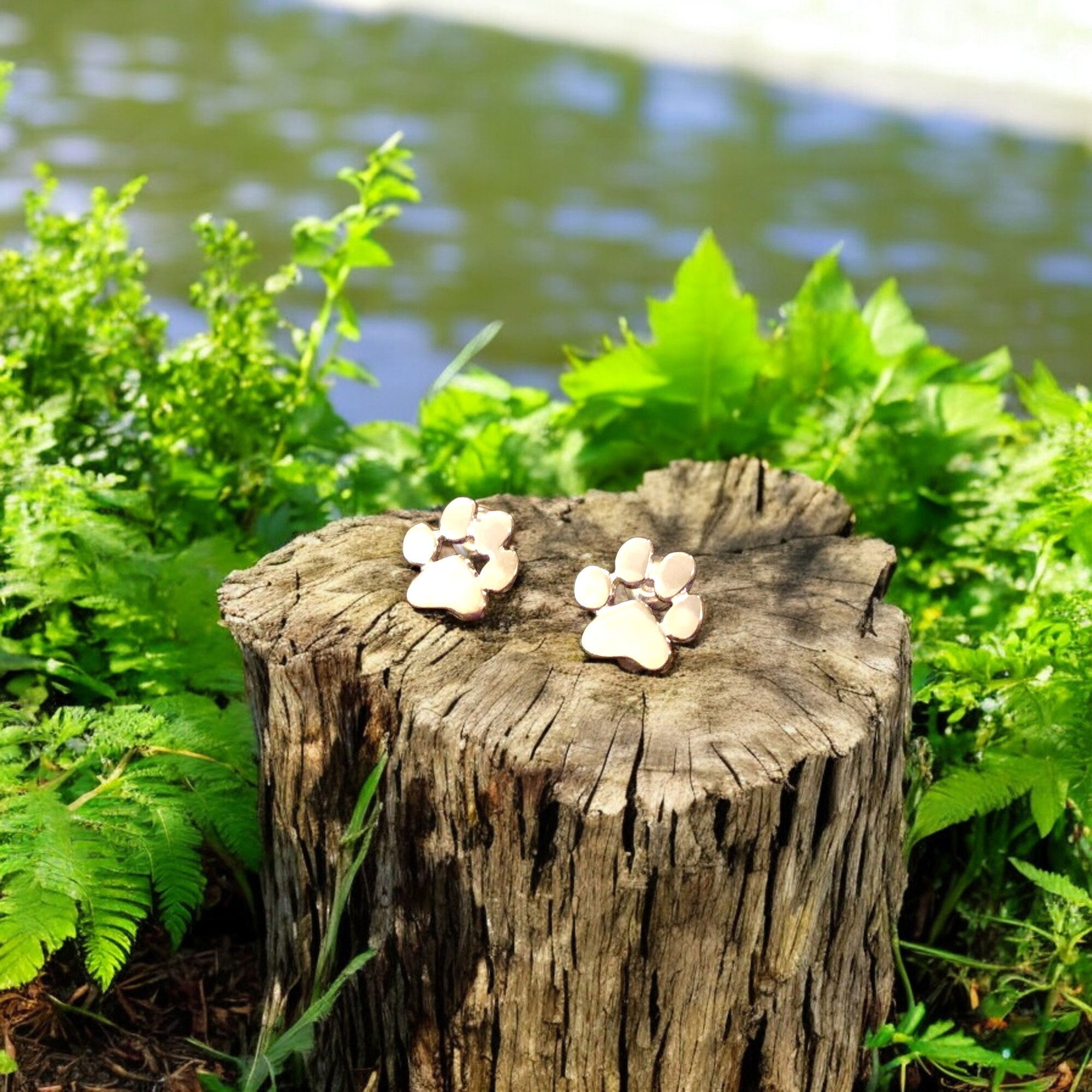 Allergivenlige pote-øreringe